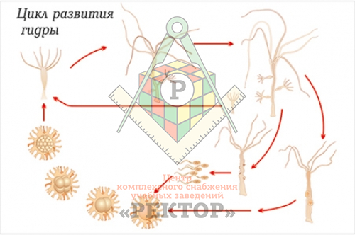 Кракен онлайн